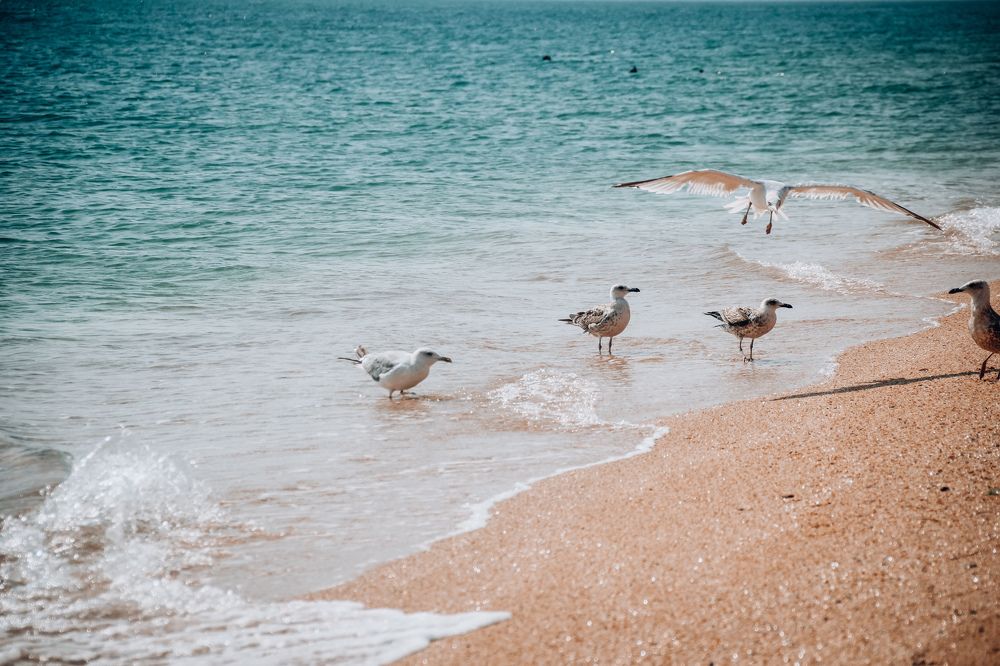 Фотография автора OXANA MARSOVA