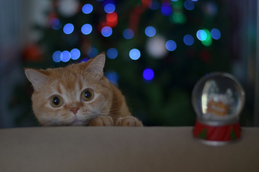 Photograph by Ирина Хламова