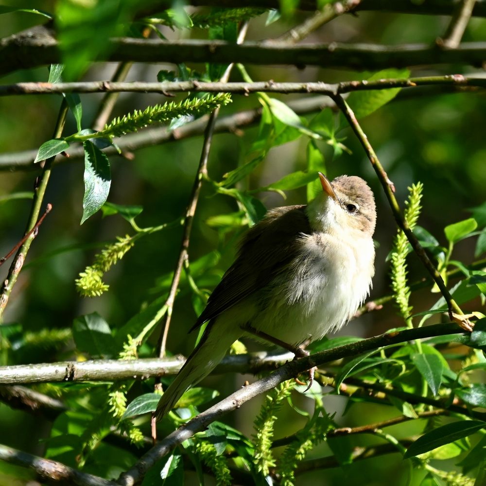 Photograph by Алексей Гордеев