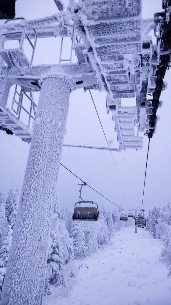Photo #7658296