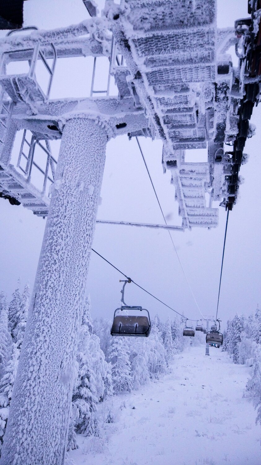 Photo #7658296