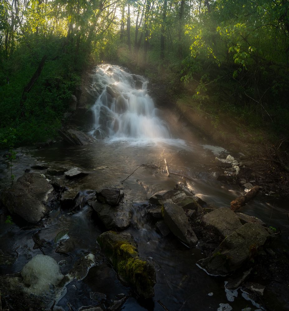 Фотография автора Дитковский Евгений