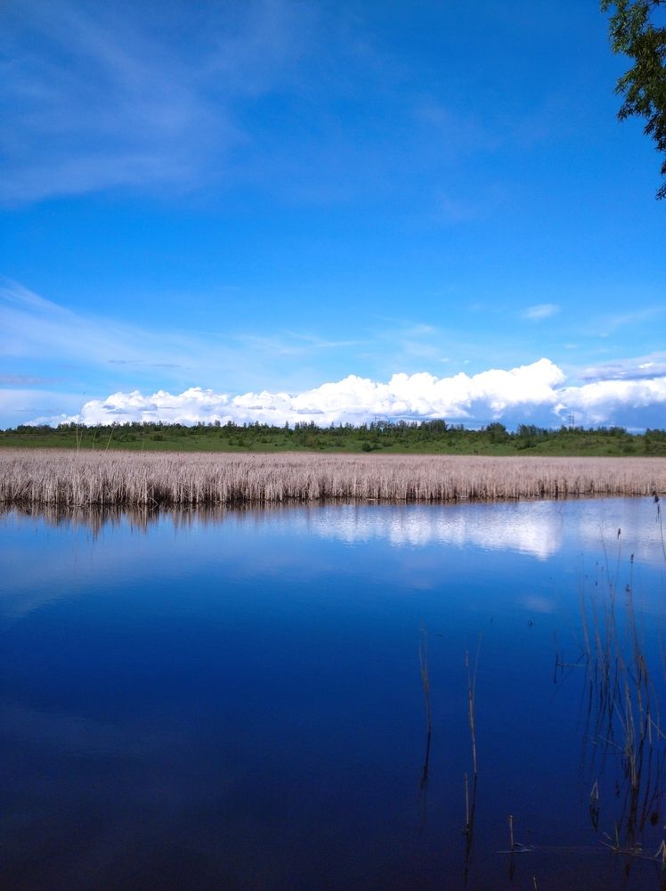 Photograph by Елена