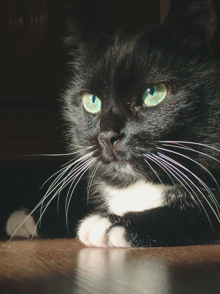 Photograph by Halina Mitsevich