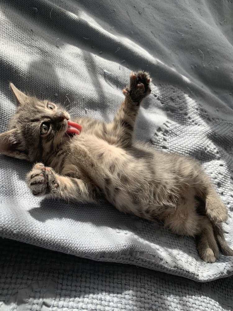 Photograph by Дмитрий Соколов