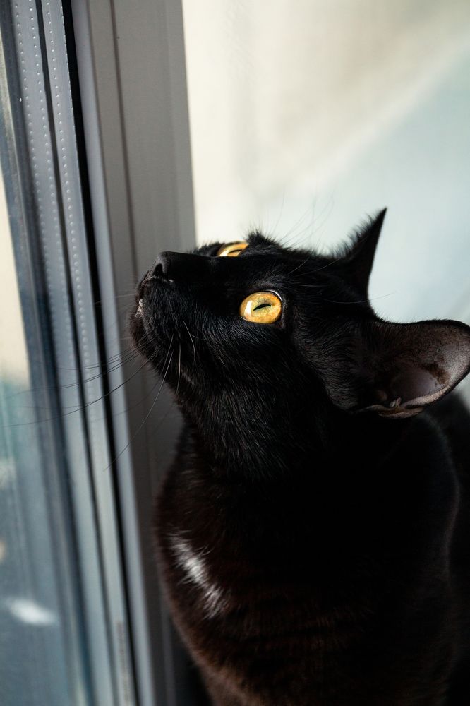 Photograph by Артём Байдаков