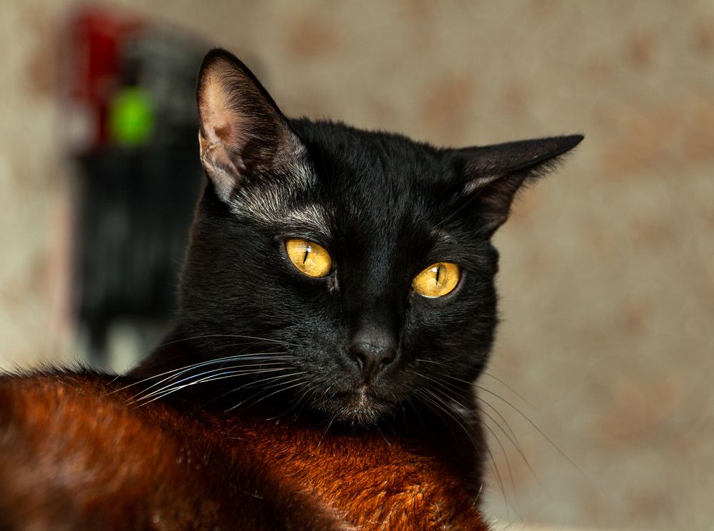 Photograph by Артём Байдаков