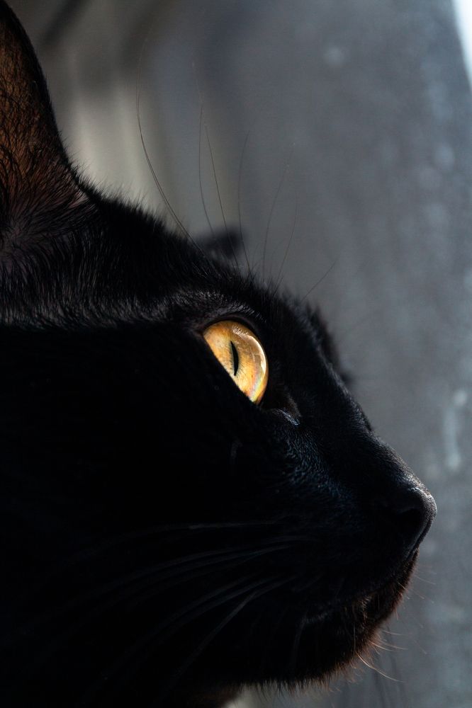 Photograph by Артём Байдаков