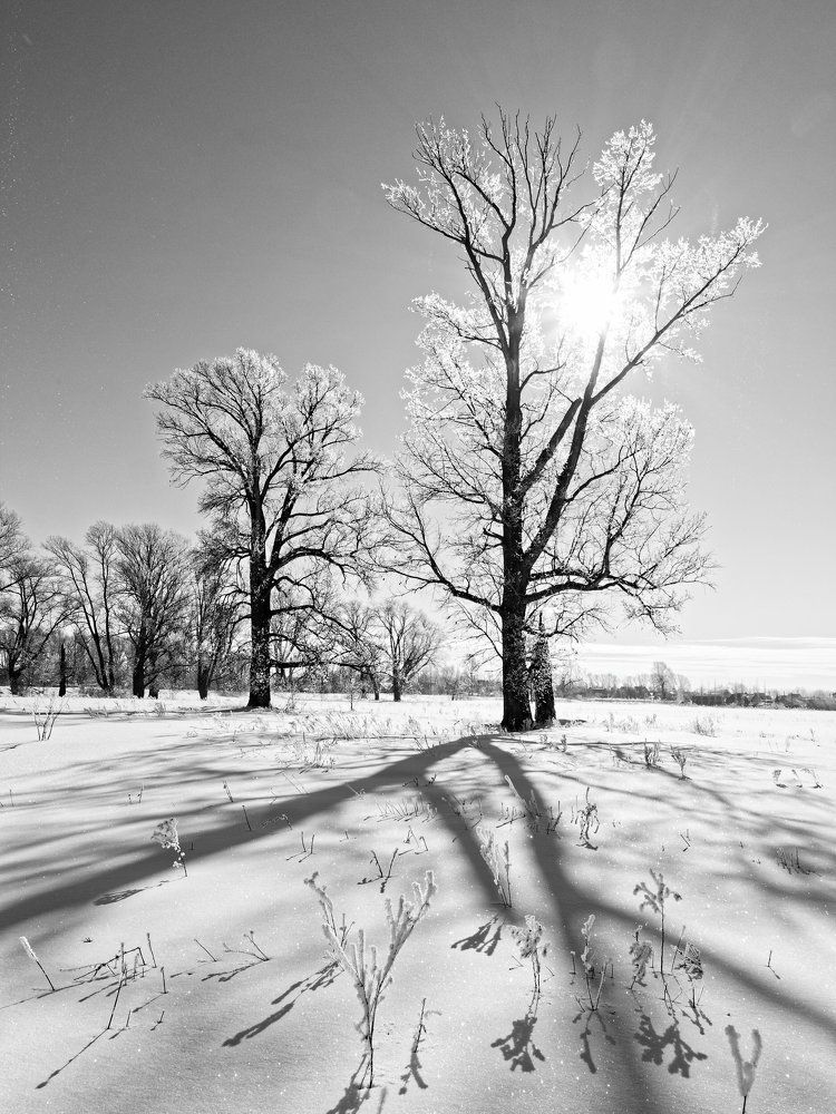 Под солнцем