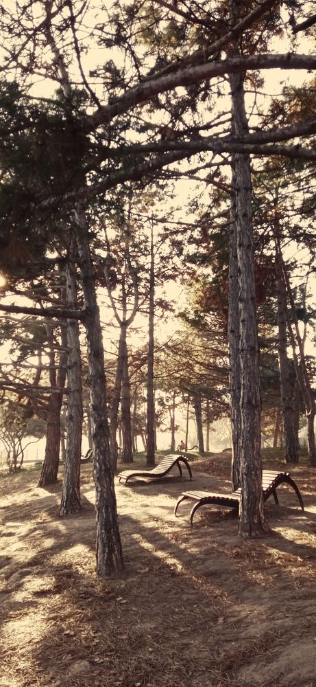 Photograph by Дмитрий Соколов