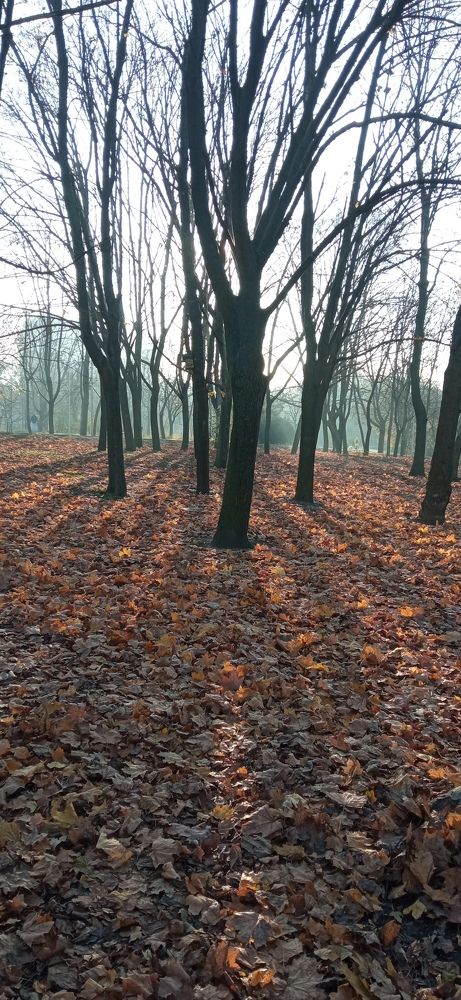 Photograph by Дмитрий Соколов