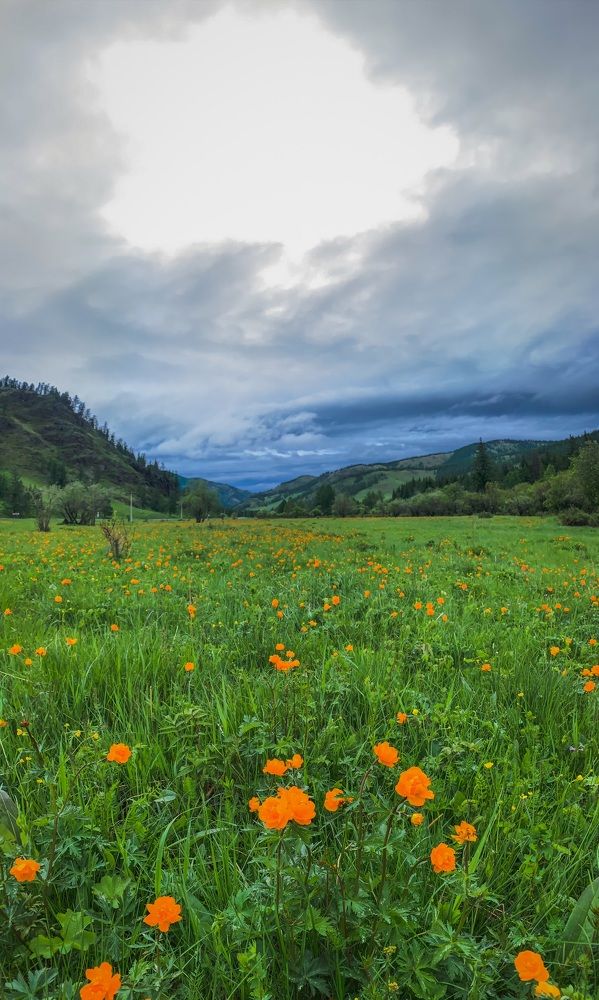 Photograph by Денис Кошкин