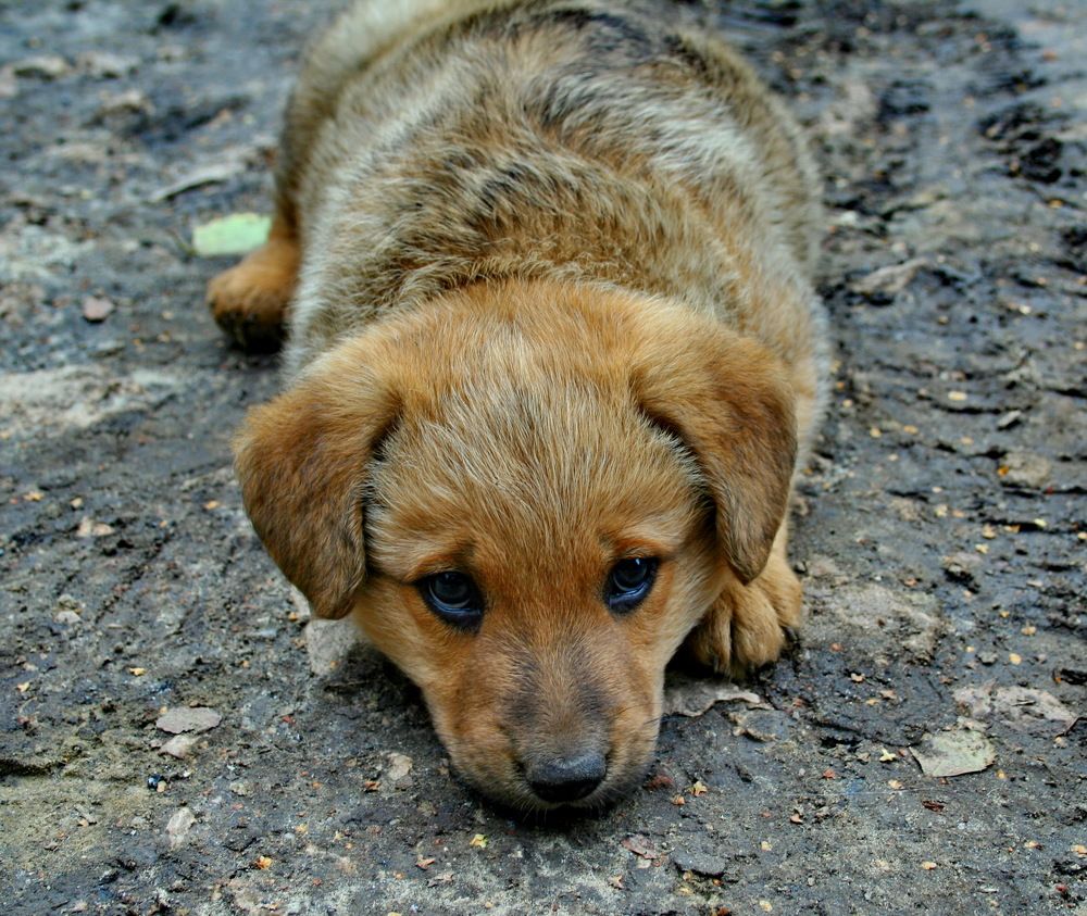 Photograph by вячеслав милов