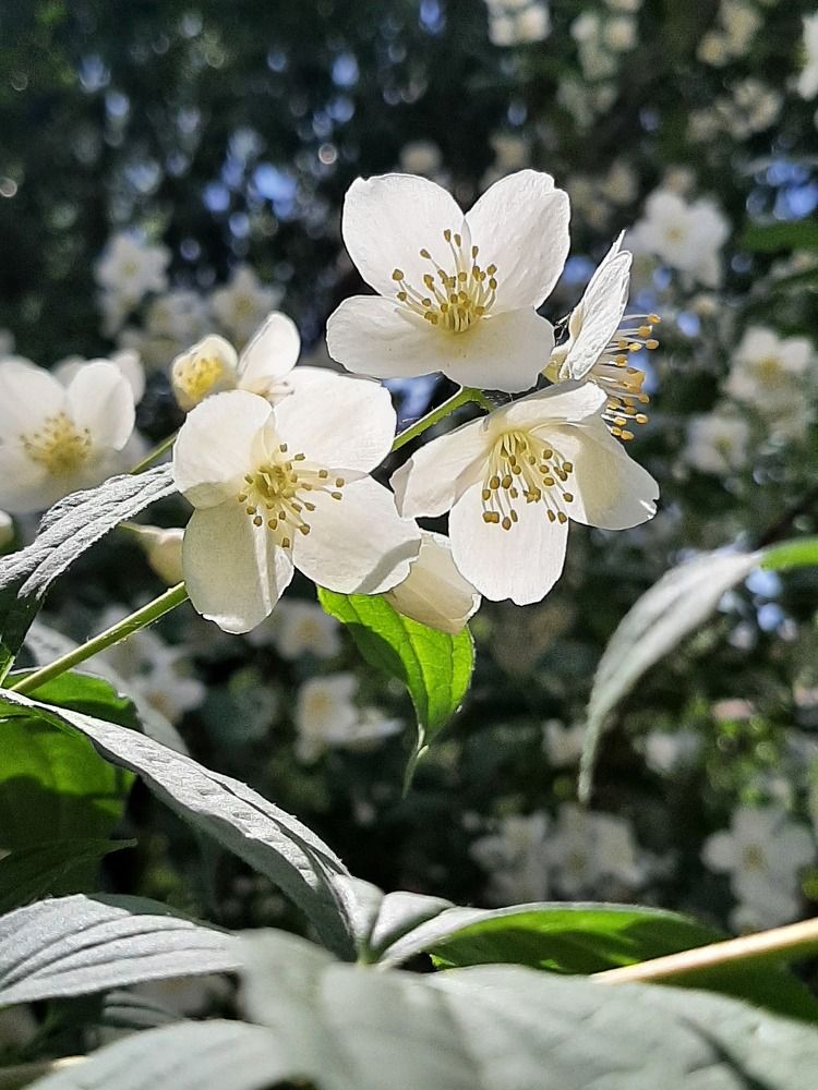 Photograph by Оксана Антипова