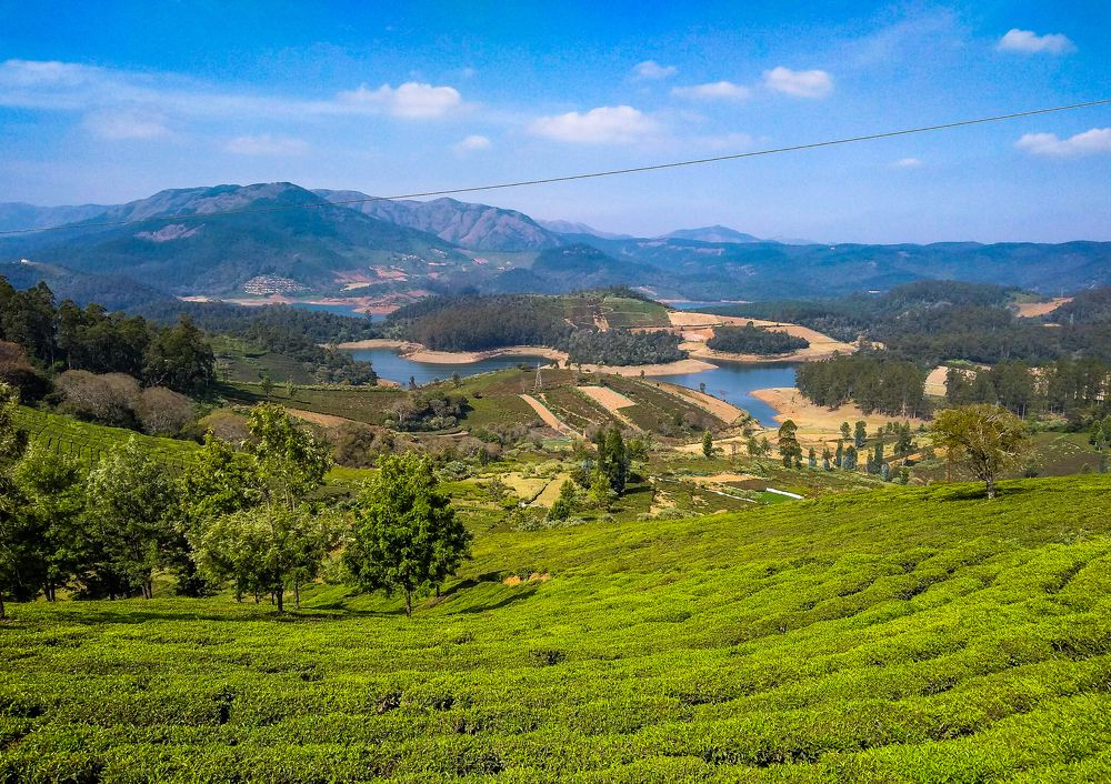 Photograph by Ayan Bhattacharya