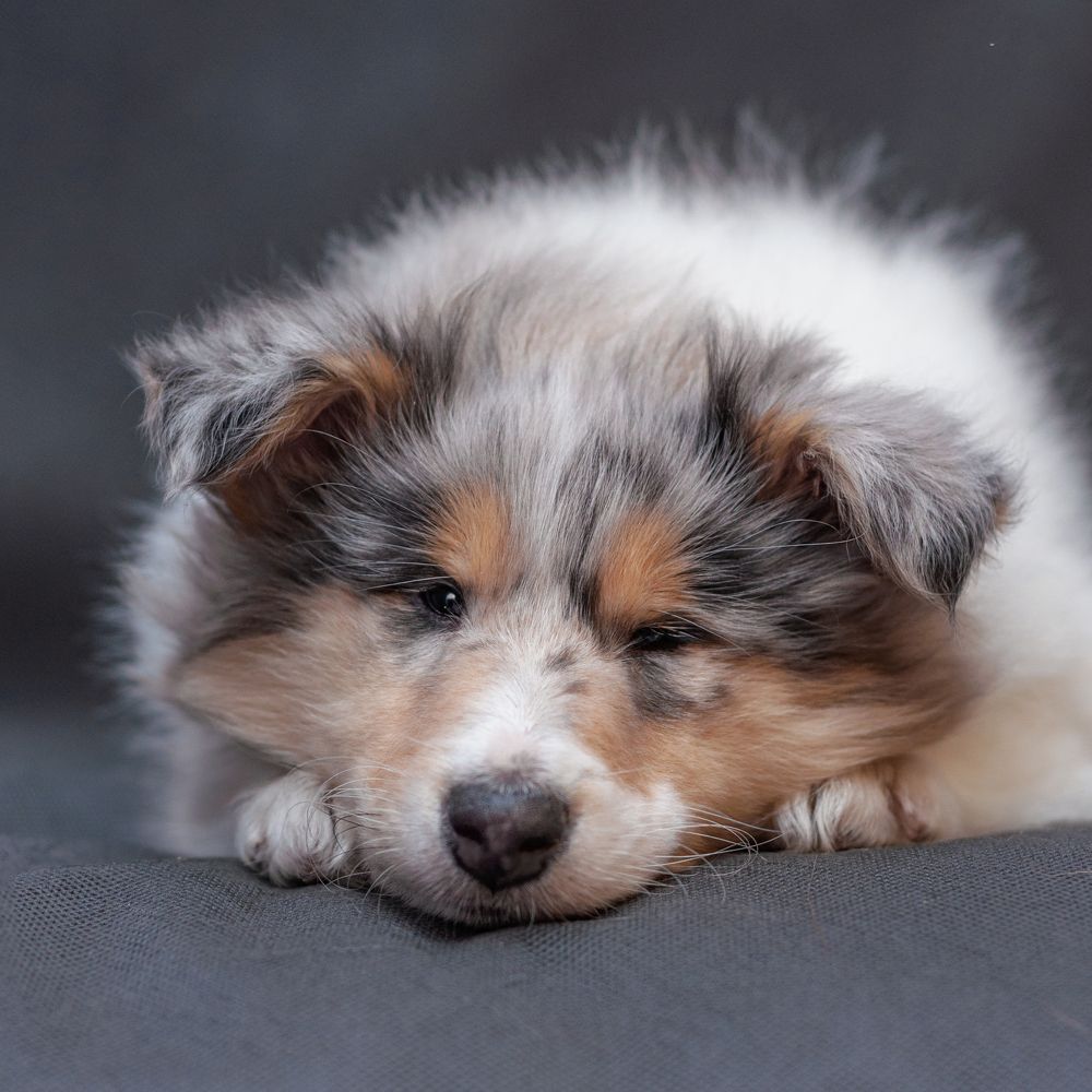 Photograph by Виктория Сафонова