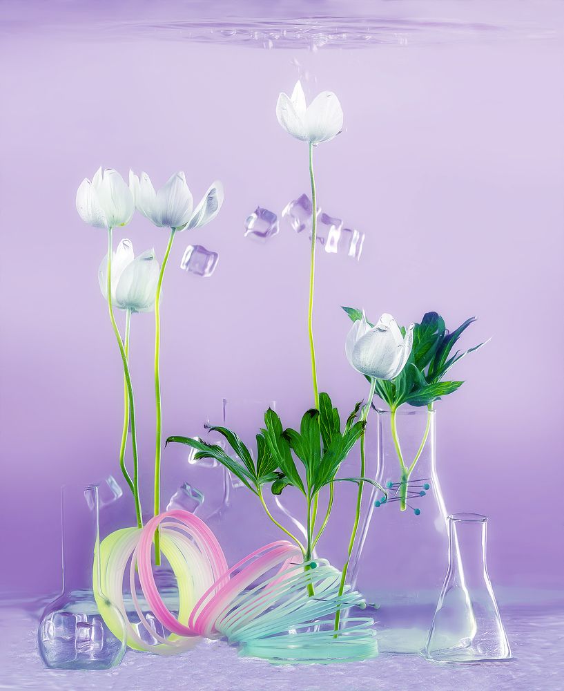 Photograph by Margarita