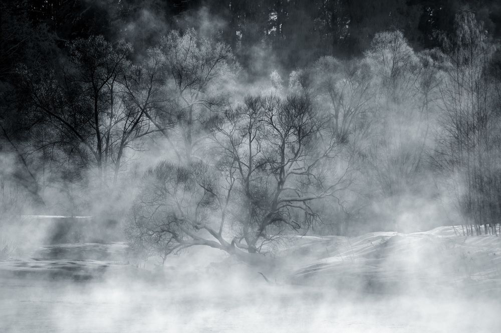 Photograph by Александр Шандов