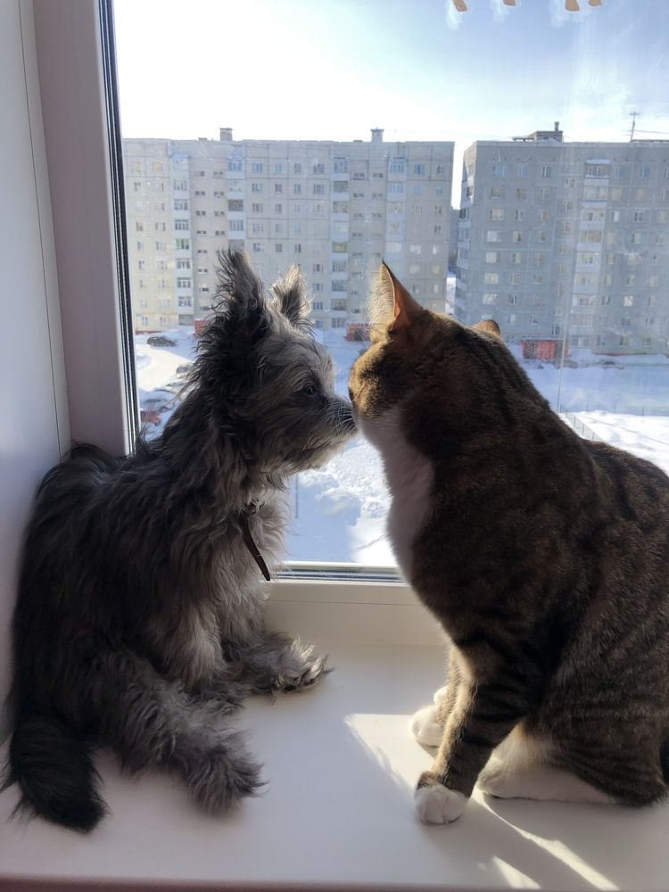 Photograph by Наталья