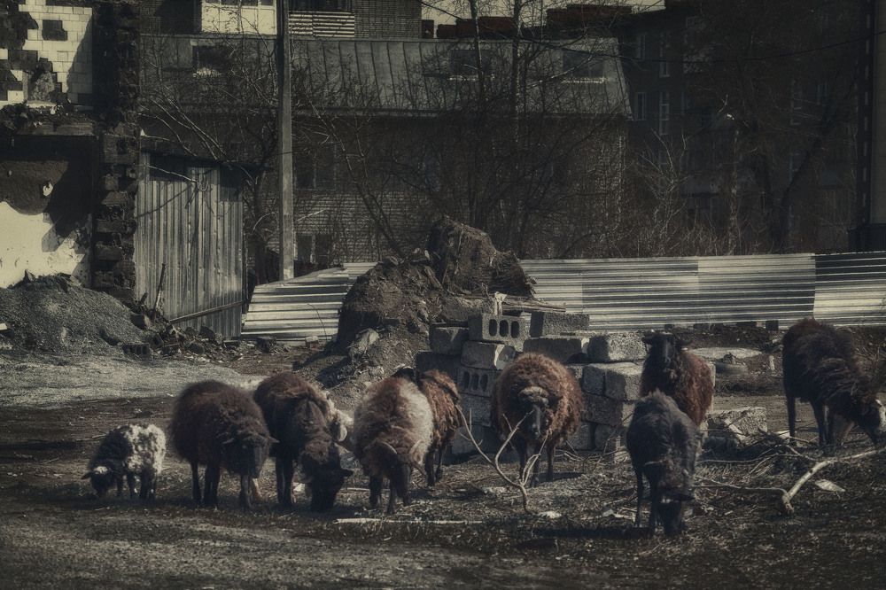 Photograph by Юлия Лушникова