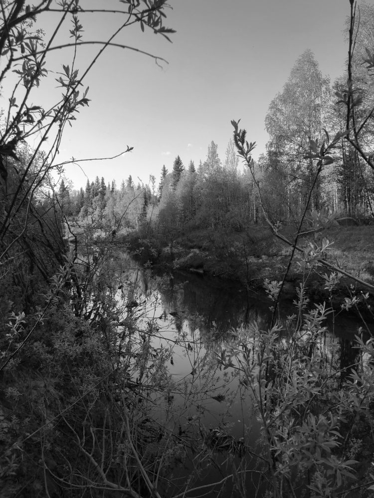 Photograph by Наталья