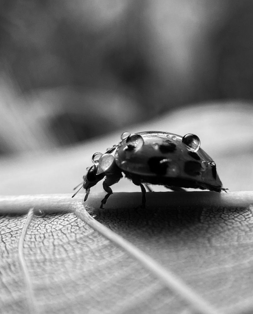 Photograph by Андрей Васильев