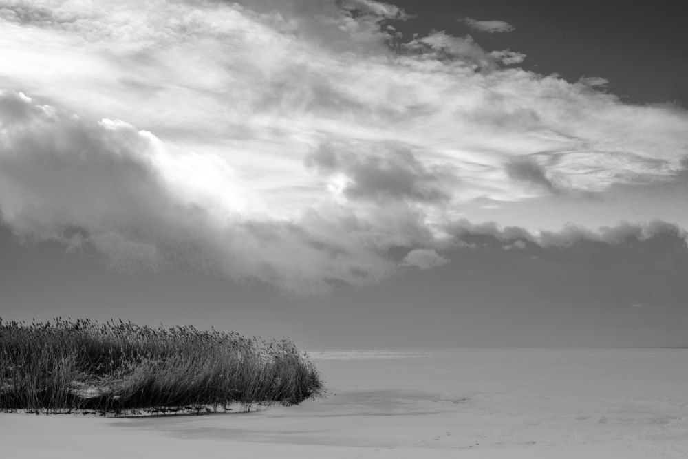 Photograph by Ангела Честнова