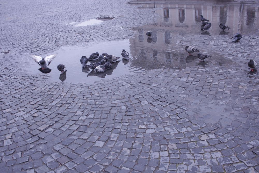 Photograph by Natalia Lapshina