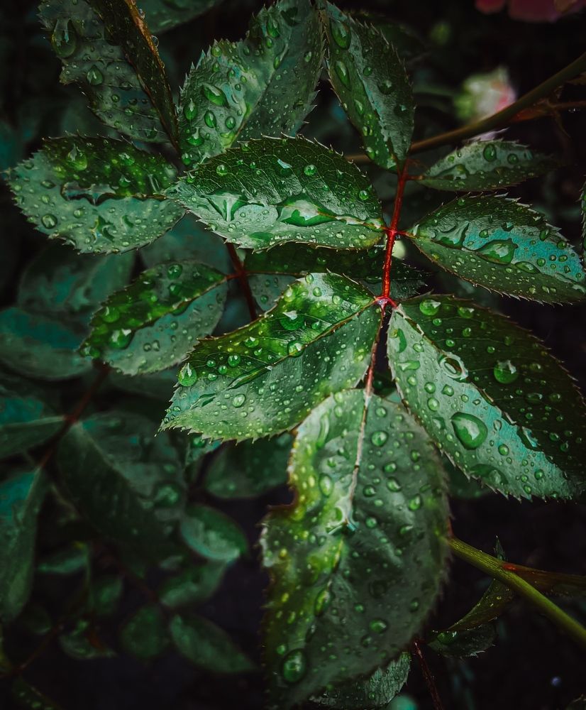 Photograph by Hakuna matata