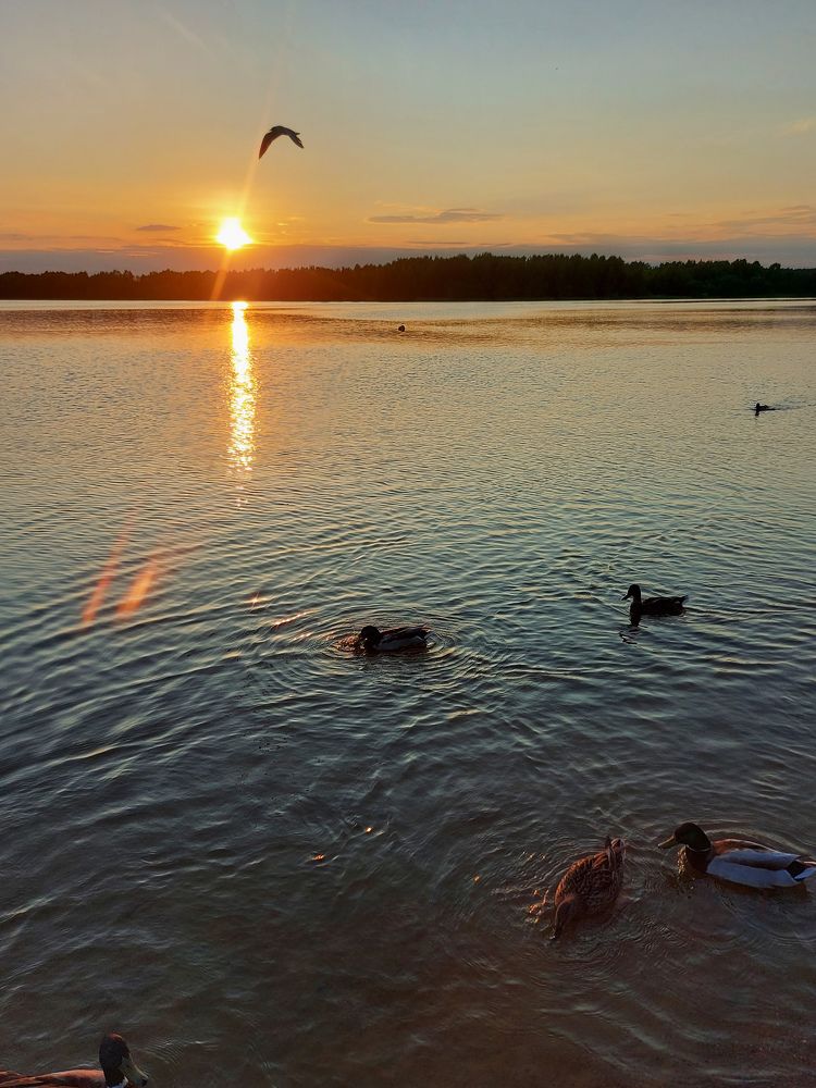 Photograph by Ксения Арнатович