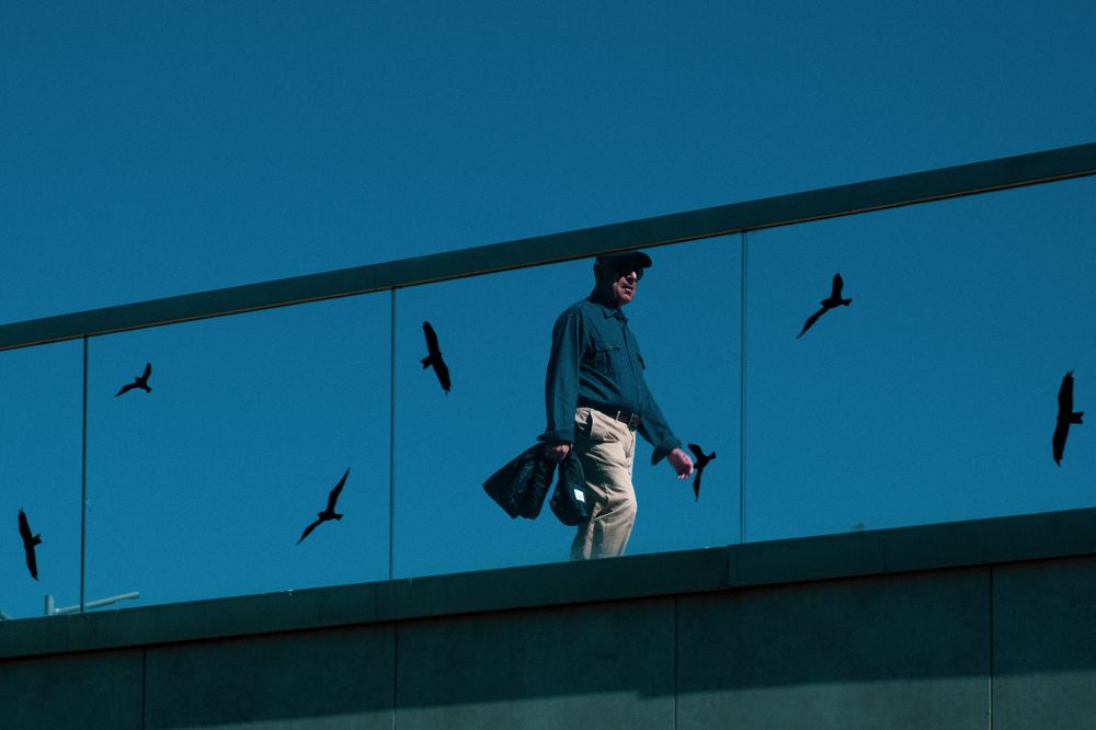 Фотография автора Javid Hashimov