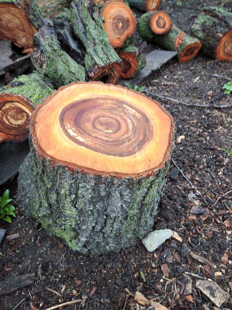 Photograph by Елена