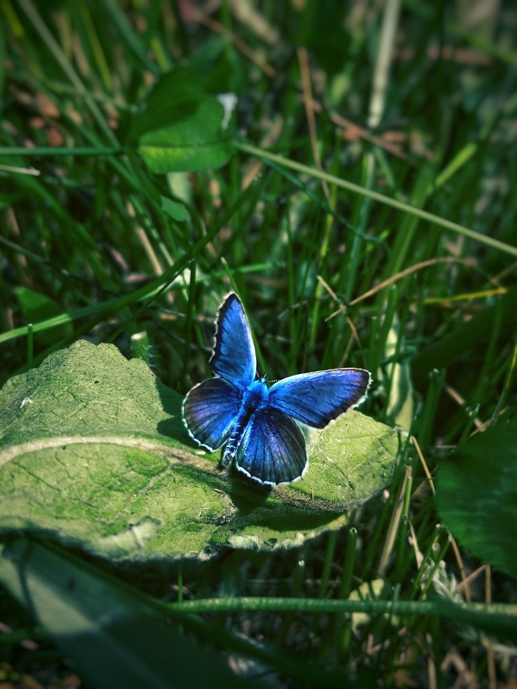 Photograph by Максим Пинчук