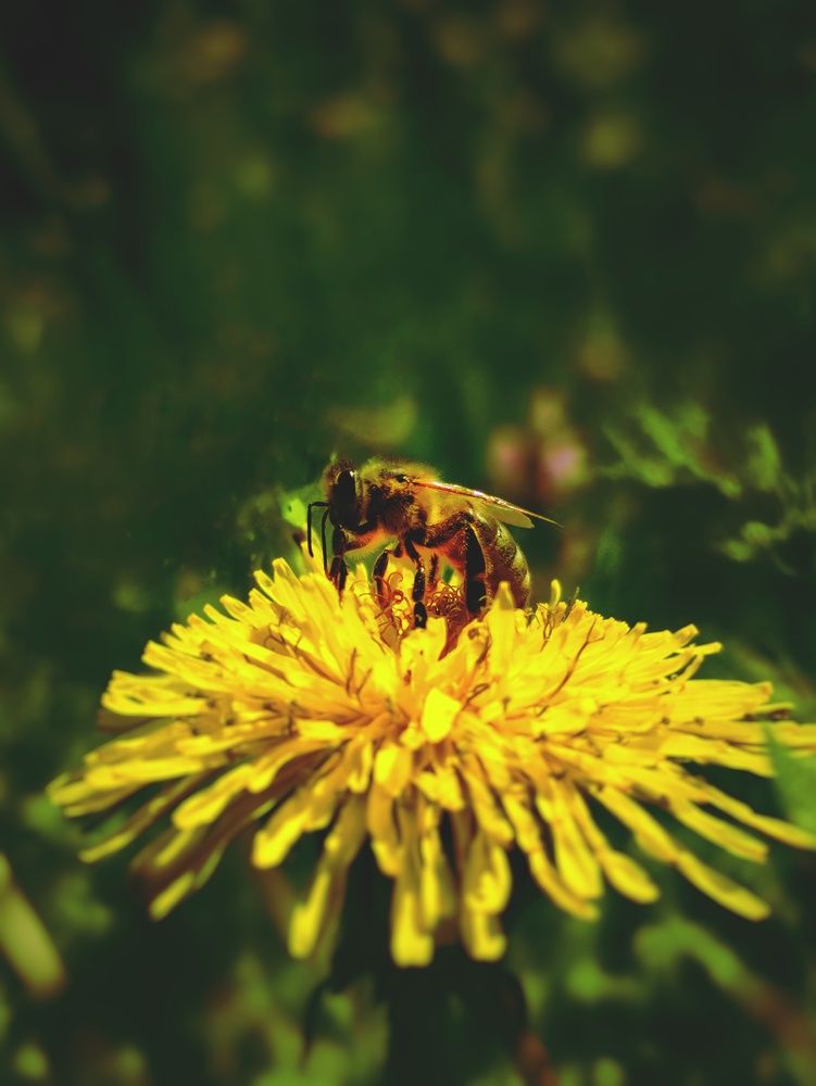 Photograph by Максим Пинчук