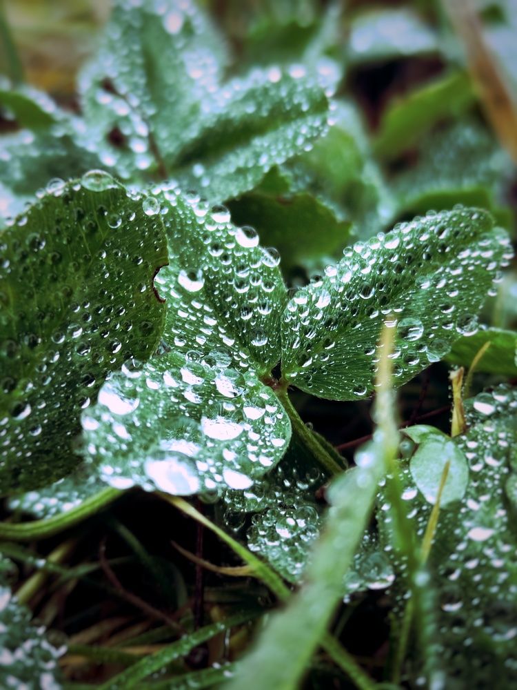 Photograph by Максим Пинчук