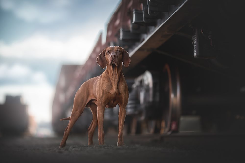 Photograph by Людмила Богуш