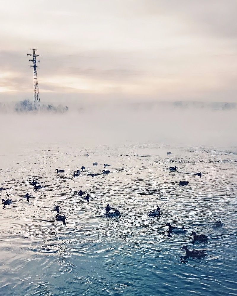 Photograph by Anna Solomina