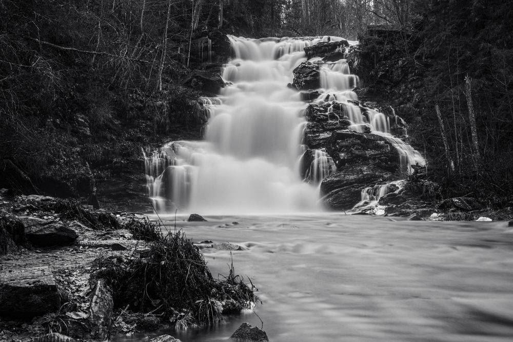 Photograph by Михаил Четвертков