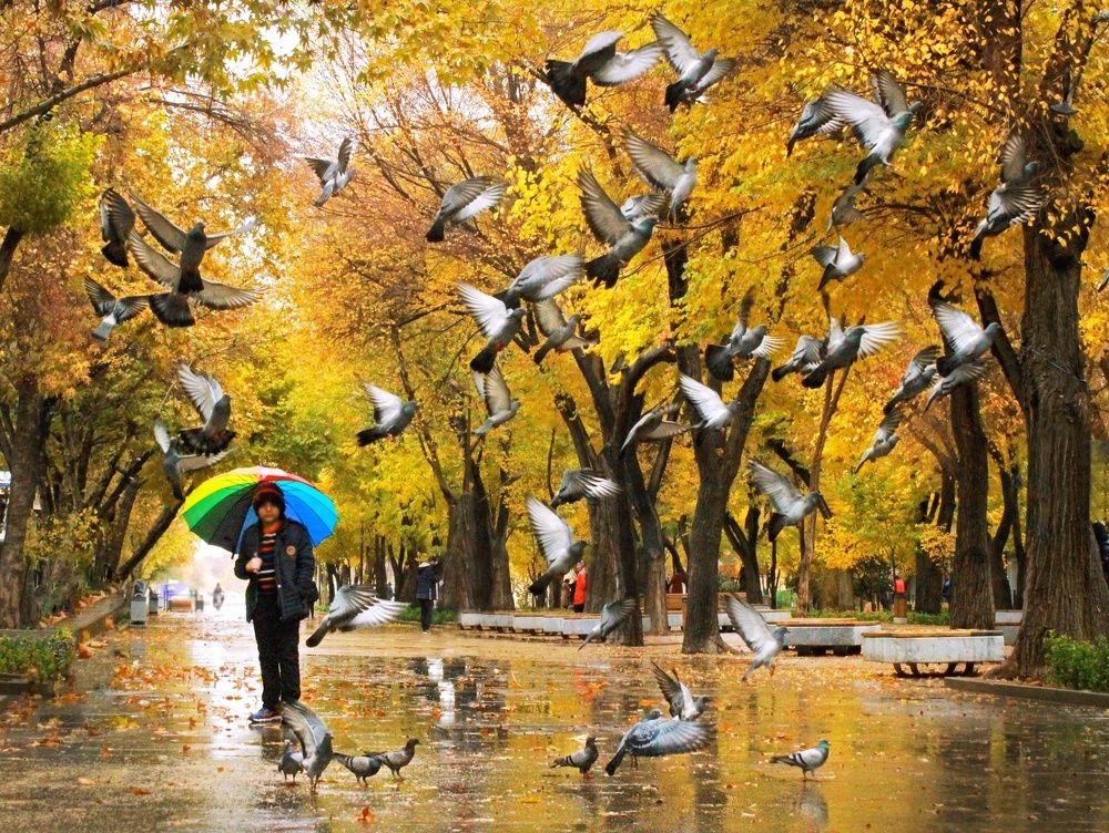 Photograph by safoura asghari