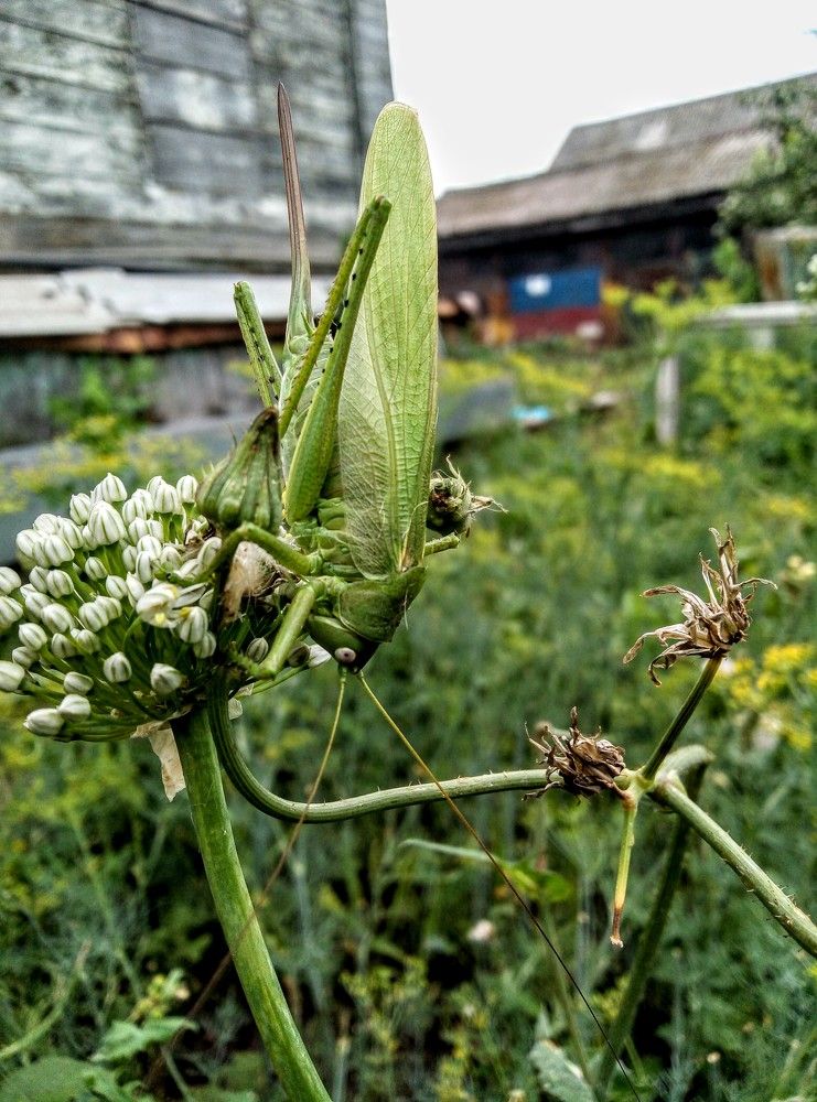 Photograph by Федоренко Элеонора