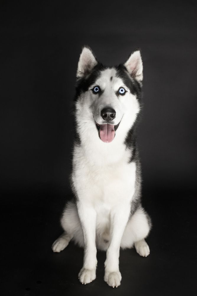 Photograph by Михаил Четвертков