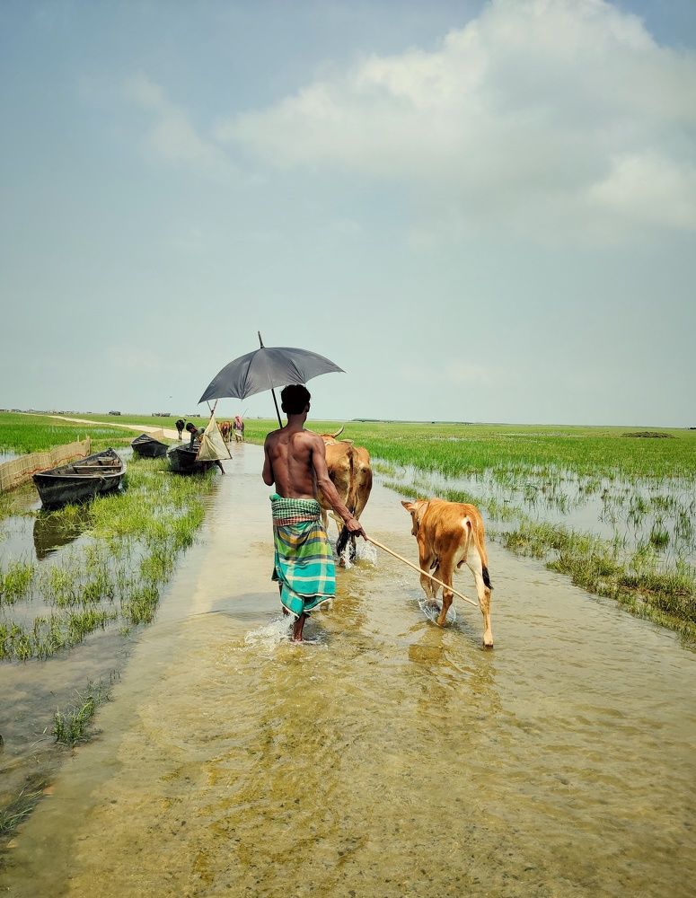 Photograph by Shahadat Hossain