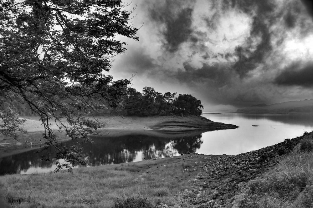 Photograph by Kamal Bhattacharjya