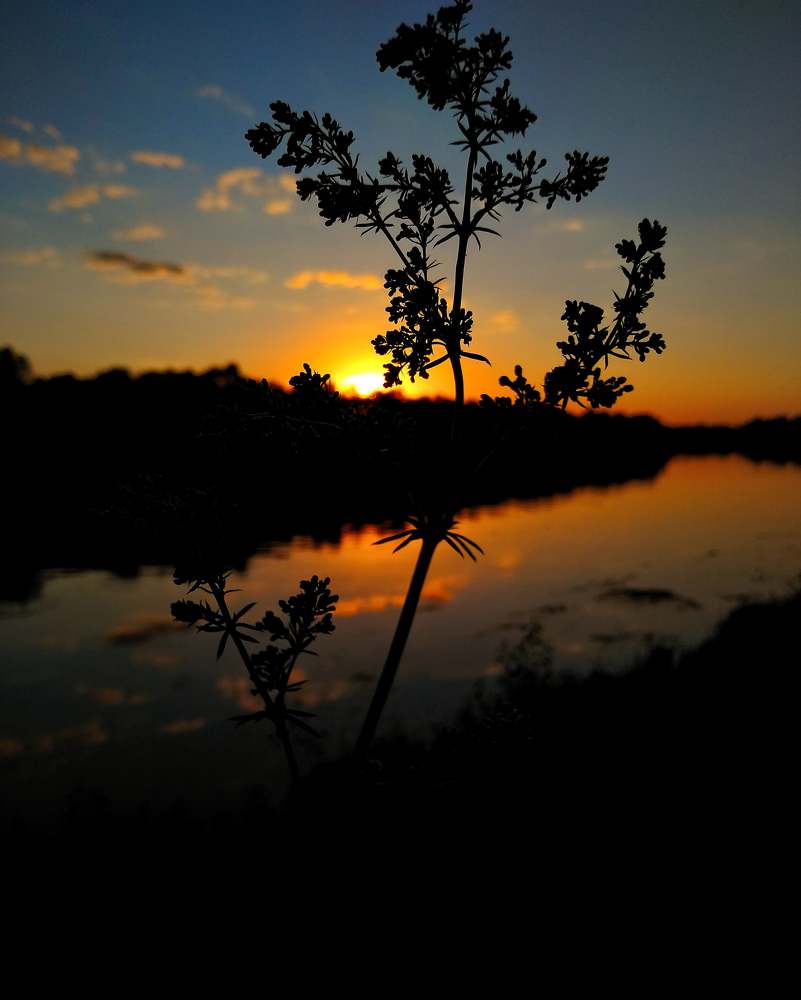 Photograph by Вадим Ковалев