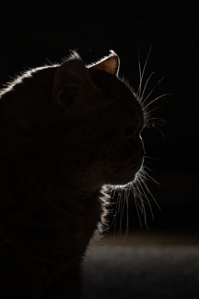 Photograph by Olga Gantman