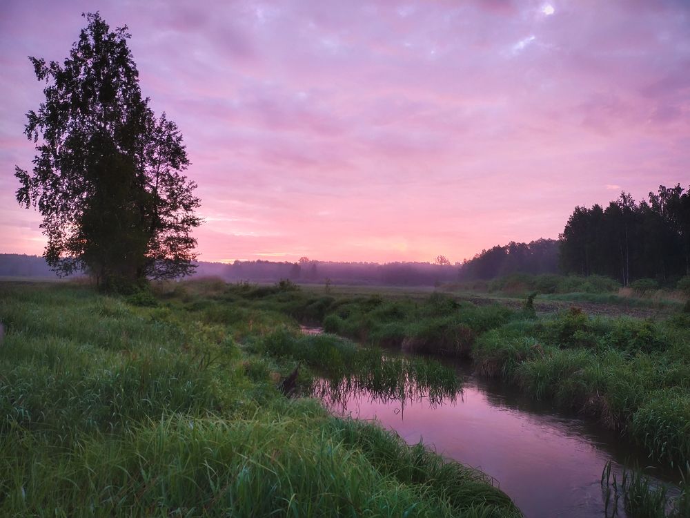 Летнее утро