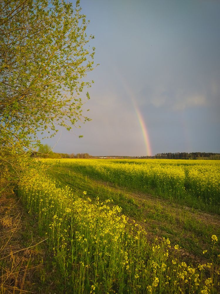 Майская радуга