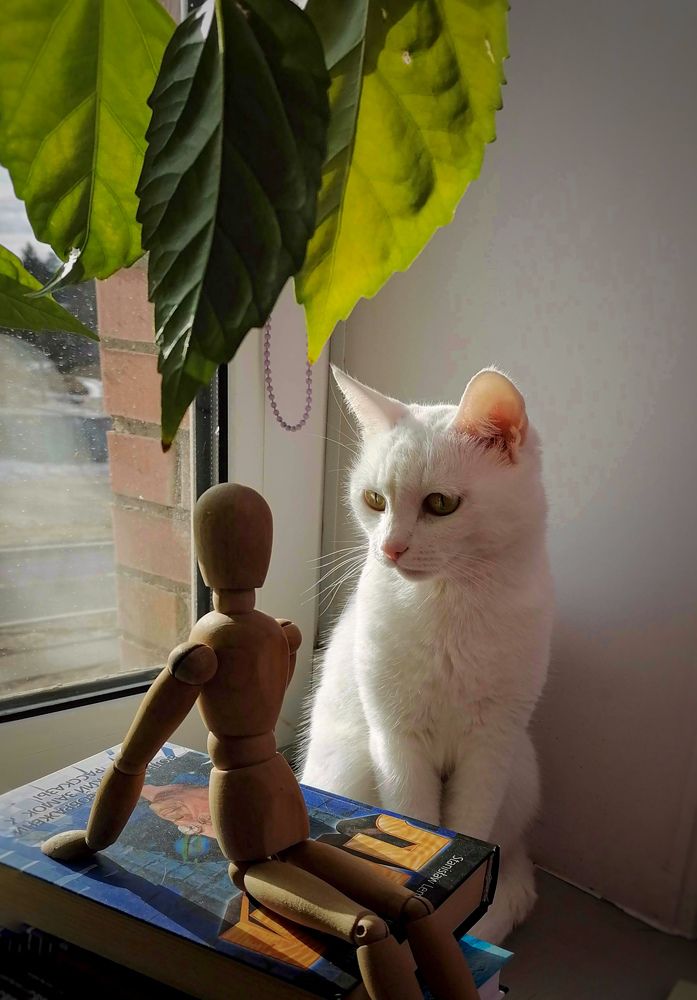 Photograph by Светлана Шелухеева