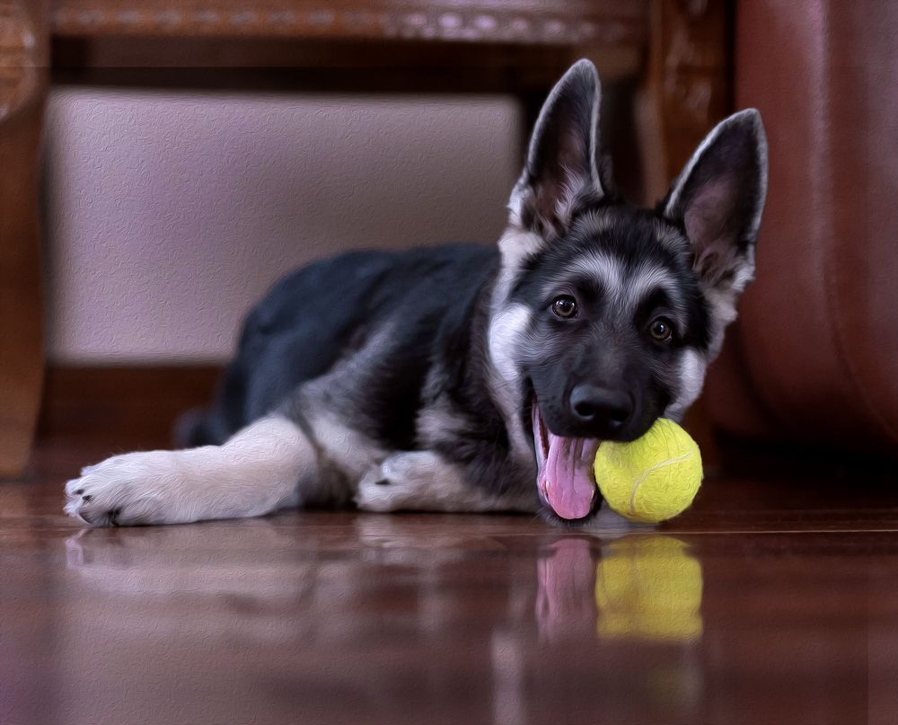 Фотография автора Maria Efremova