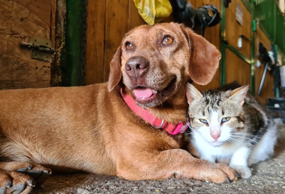 Photograph by Andrey Kondrov